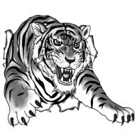 Wzór tatuażu Tygrys